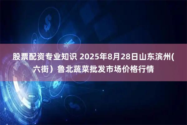 股票配资专业知识 2025年8月28日山东滨州(六街）鲁北蔬菜批发市场价格行情