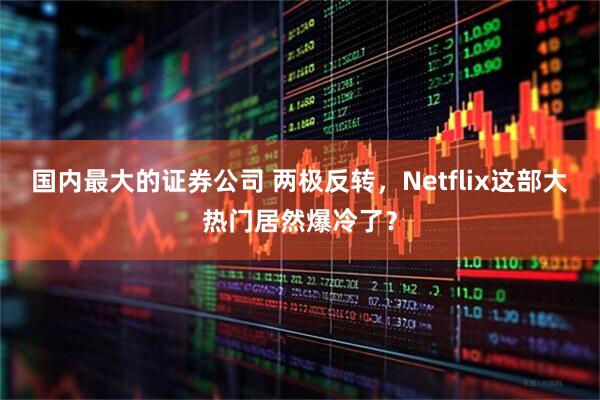 国内最大的证券公司 两极反转，Netflix这部大热门居然爆冷了？